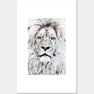 black and white lion/simba art Posters and Art